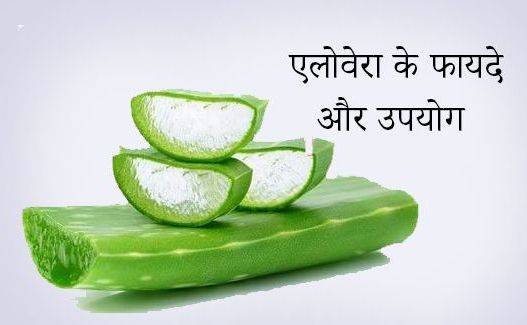 Benefits of Aloe Vera for Skin in Hindi