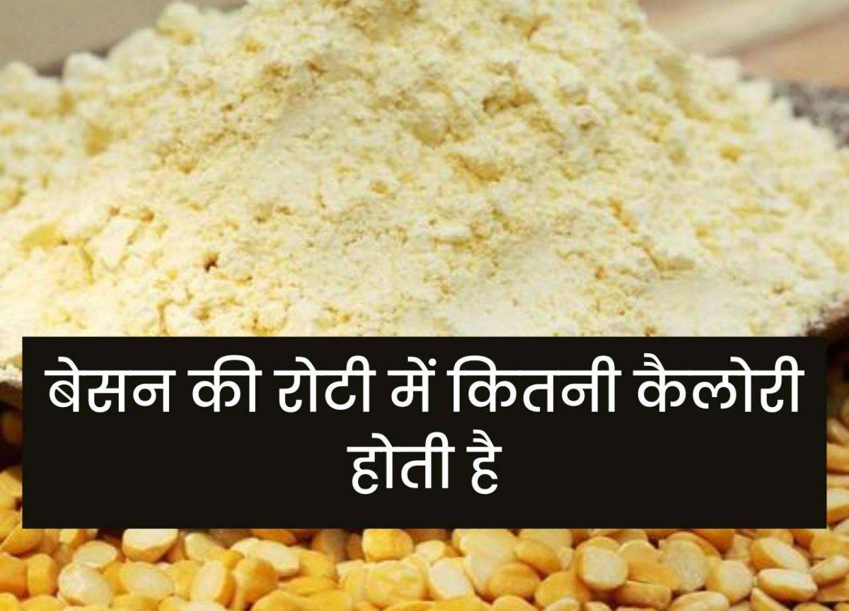 बेसन की रोटी में कितनी कैलोरी होती है Newstetra