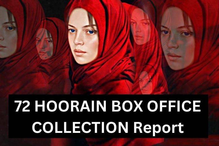72 HOORAIN BOX OFFICE COLLECTION