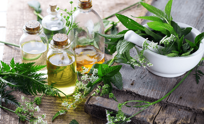 Herbal Product Packaging Innovations: Sustainable Solutions and User-Friendly Designs